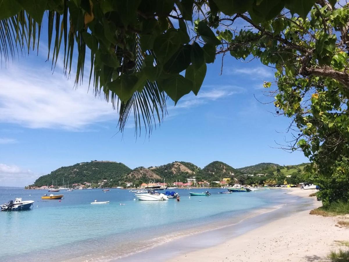 Studio 1 - Grande Anse - 4 Pers - Proche Bourg Terre-De-Haut Bagian luar foto