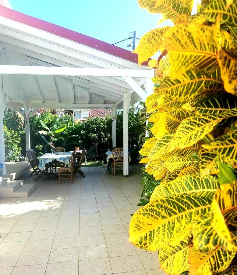 Studio 1 - Grande Anse - 4 Pers - Proche Bourg Terre-De-Haut Bagian luar foto