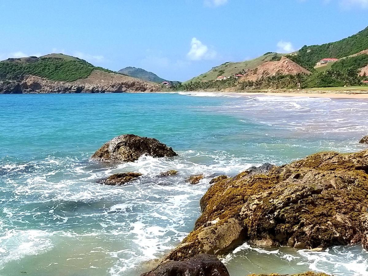 Studio 1 - Grande Anse - 4 Pers - Proche Bourg Terre-De-Haut Bagian luar foto