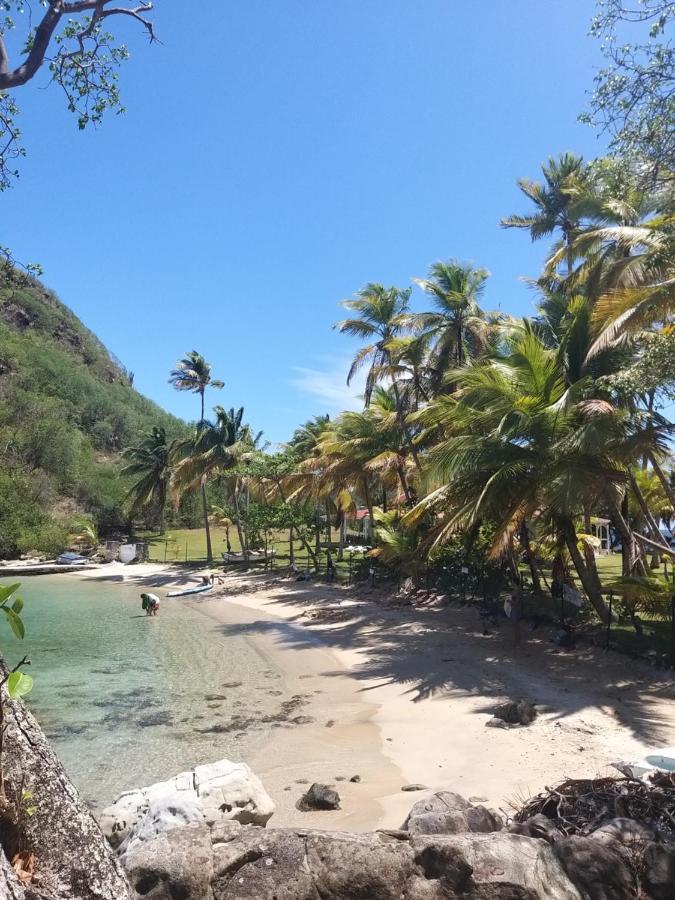 Studio 1 - Grande Anse - 4 Pers - Proche Bourg Terre-De-Haut Bagian luar foto